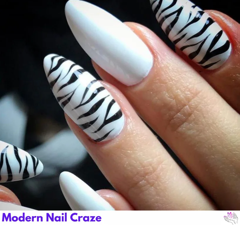 Elegant white ombre nails with bold zebra print, creating a stylish animal print manicure.