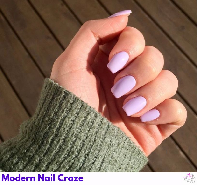 Lavender Light Gray